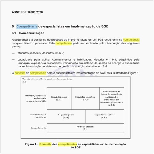 Qual seria o conceito de competência para o especialista?