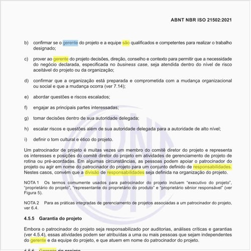 Quais são as responsabilidades do gerente do projeto?