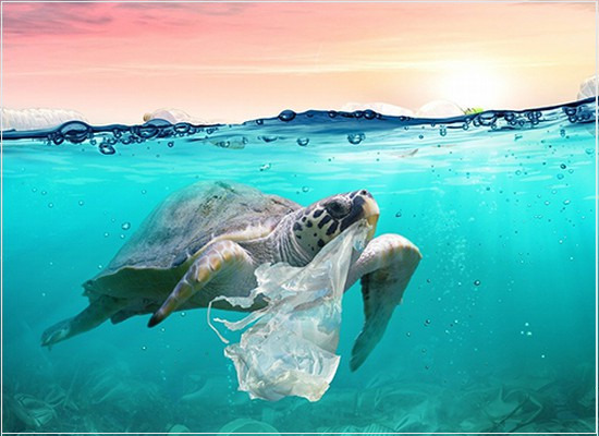 BS EN ISO 14005: a implementação da gestão ambiental em fases