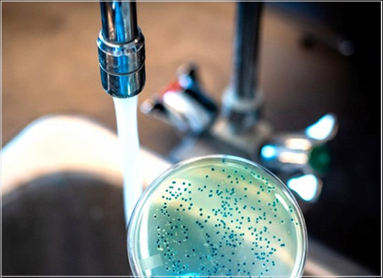 A detecção e a enumeração de E. coli em águas superficiais e residuais