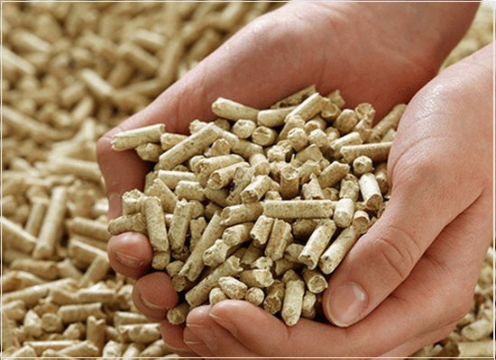 A terminologia e o método de ensaios dos pellets