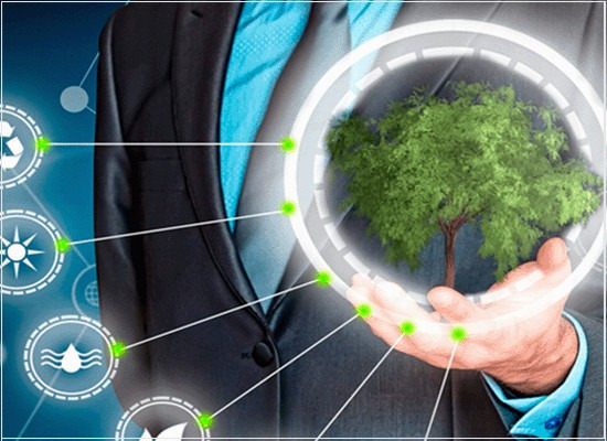 A competência dos organismos que fornecem auditoria e certificação em gestão ambiental