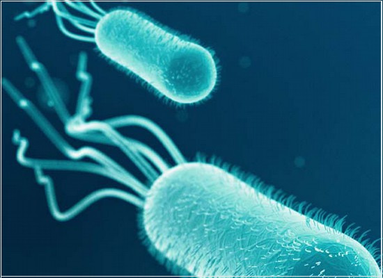 A detecção e a enumeração da Escherichia coli presuntiva em alimentos