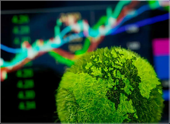 Os requisitos normativos para o processo de designar as finanças verdes