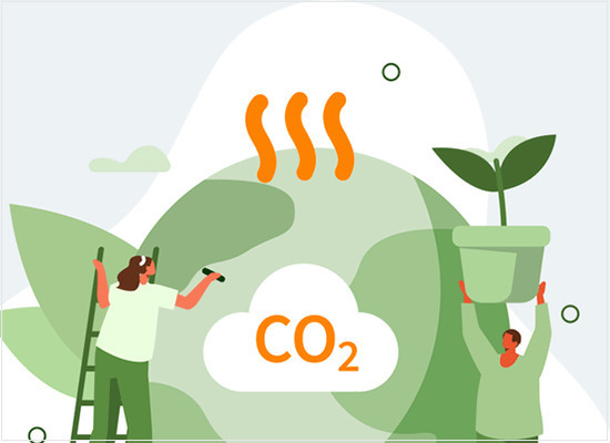 A neutralidade de carbono ou a transição para emissões líquidas zero
