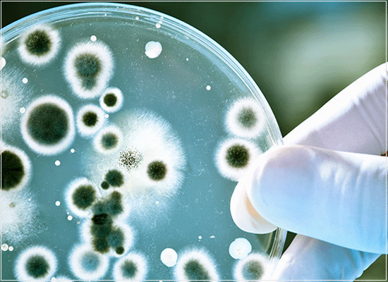 A determinação de endotoxinas bacterianas em produtos para saúde