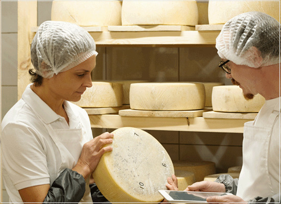 A cadeia de abastecimento de alimentos para humanos, para animais e embalagens
