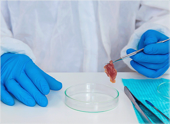 A validação de métodos alternativos para a microbiologia na cadeia produtiva de alimentos