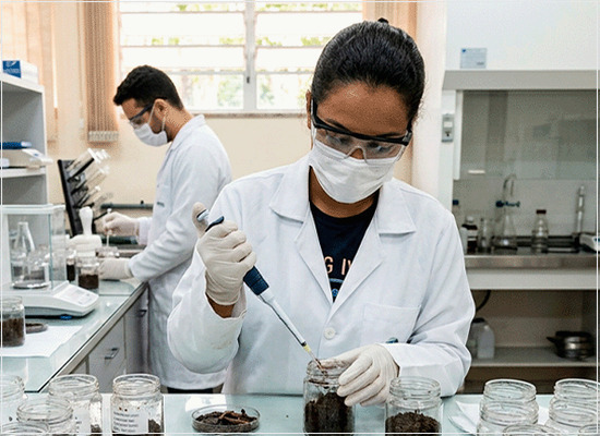 Os bioensaios para a caracterização ecotoxicológica de solos e materiais de solo