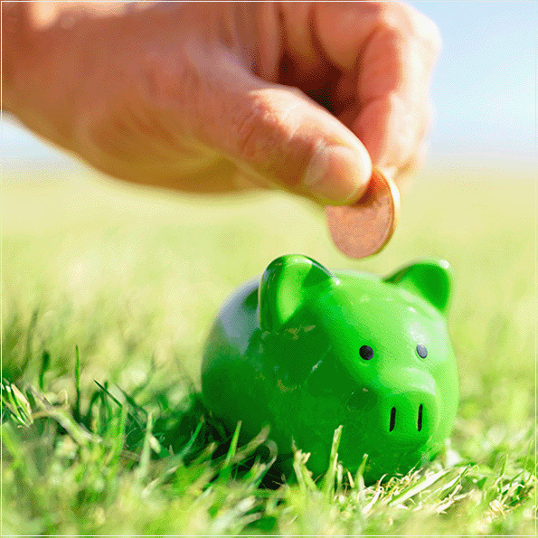 Os programas de verificação dos instrumentos de dívida verde