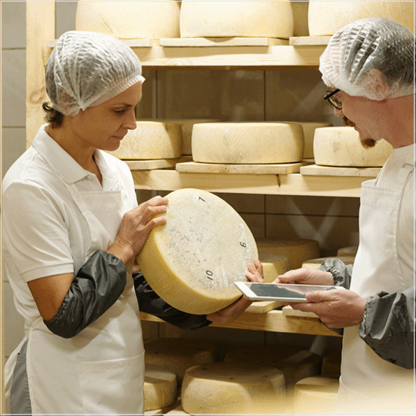 A cadeia de abastecimento de alimentos para humanos, para animais e embalagens