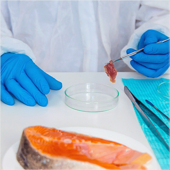 A validação de métodos alternativos para a microbiologia na cadeia produtiva de alimentos