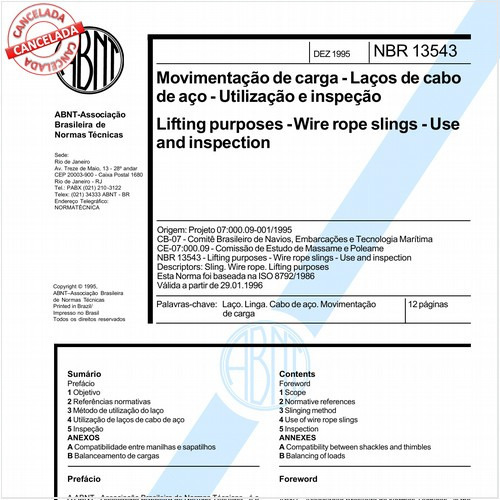 Movimentação de carga - Laços de cabo de aço - Utilização e inspeção