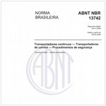 NBR13742
