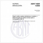 NBR13999