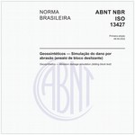NBRISO13427