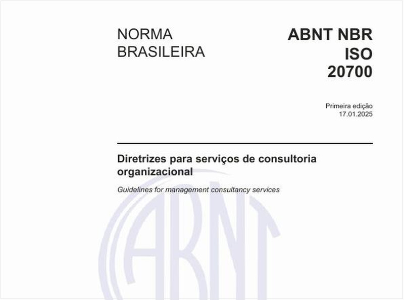 Diretrizes para serviços de consultoria organizacional