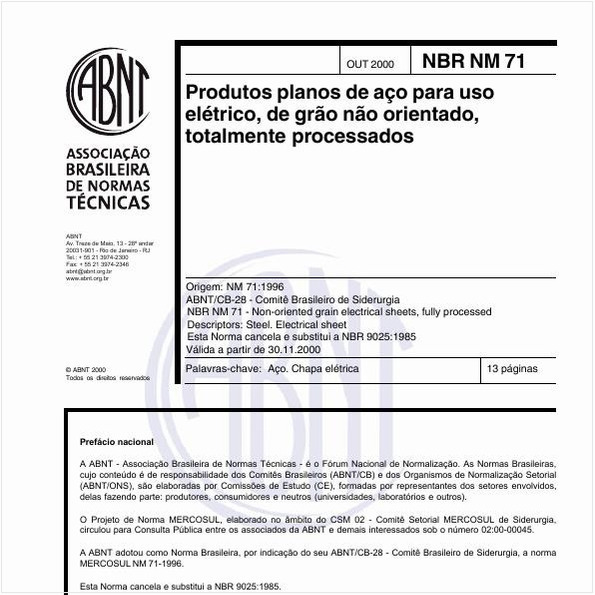 Produtos planos de aço para uso elétrico, de grão não orientado, totalmente processados