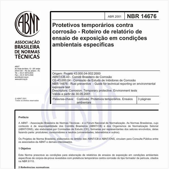 Protetivos temporários contra corrsão - Roteiro de relatório de ensaio de exposição em condições ambientais específicas