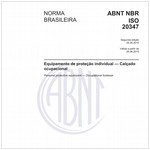 NBRISO20347