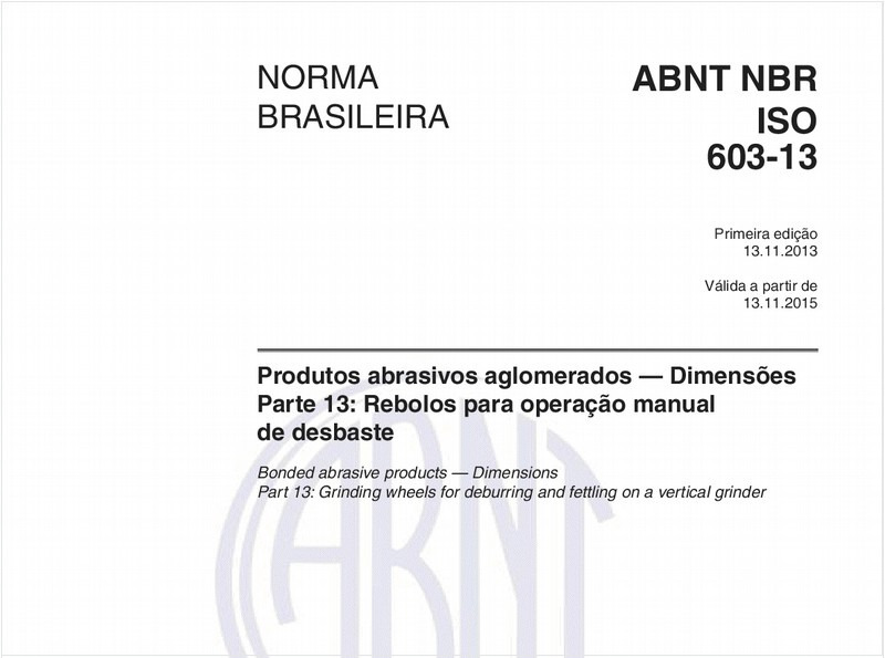 Produtos abrasivos aglomerados — Dimensões - Parte 13: Rebolos para operação manual de desbaste