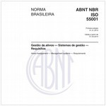 NBRISO55001