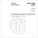 NBR16381