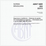 NBRISO22313