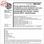 NBR5043