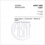 NBR13507