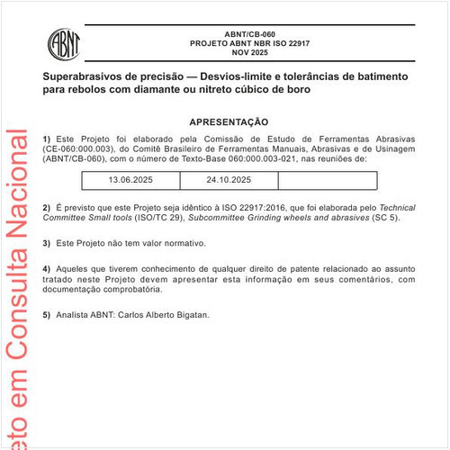 Superabrasivos de precisão - Desvios-limite e tolerâncias de batimento para rebolos com diamante ou nitreto cúbico de boro